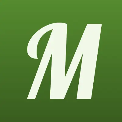 Мишка Панда, сеть детских магазинов, лого-визитка